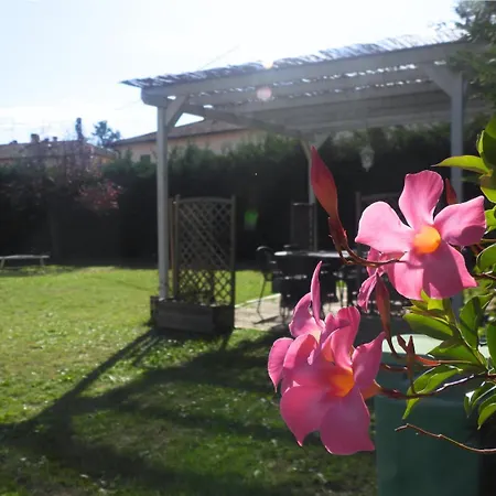 Adige Luxury - M&m House 아파트 *